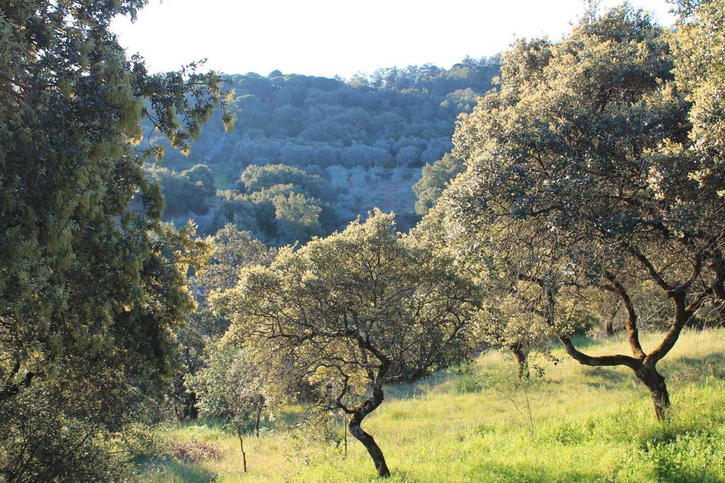 Cabana El Mirador Affittacamere Pedroso de Acim Esterno foto