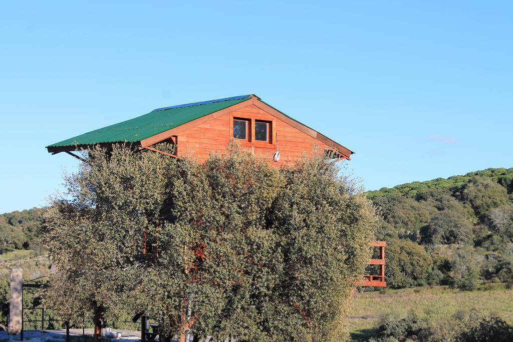 Cabana El Mirador Affittacamere Pedroso de Acim Esterno foto